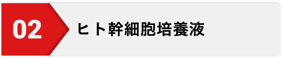 ヒト幹細胞培養液